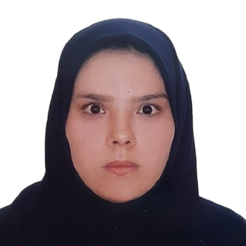 استاد دکتر شهین احمدی